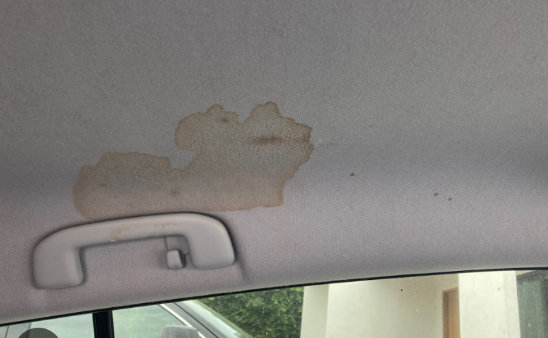 Ceiling Stain Removal