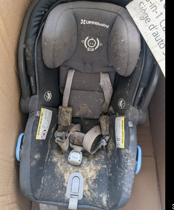 Baby Car Seat Cleanse
