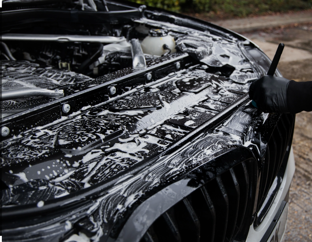 Engine Bay Cleaning